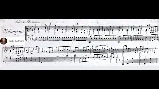 Mozart - Variations on "Salve tu Domine", K.398 (1783) {Haebler}