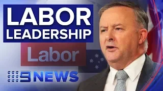 Anthony Albanese to become Labor leader | Nine News Australia