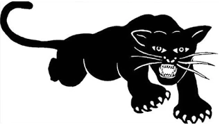 48th Anniversary of the Founding of the Black Panther Party