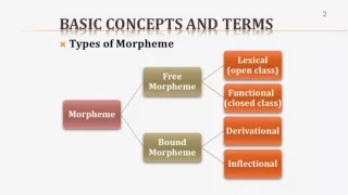 Introduction to Linguistics (II): Morphology 1