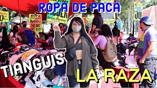 TIANGUIS DE "LA RAZA" // COMPRANDO ROPA DE PACA Y ARMANDO OUTFITS P3RRONES