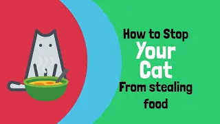 A veterinarian explains how to stop your cat from stealing food