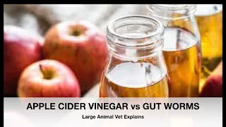 APPLE CIDER VINEGAR vs GUT WORMS? Vet Explains | Sez the Vet