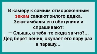 Дед Попал на Зону! Анекдот Дня! Юмор! Смех! Позитив!