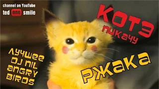 САМЫЕ ЛУЧШИЕ ПРИКОЛЫ С КОТАМИ 2016 [POKEMON GO] [КОТ PIKACHU] Лучшие приколы с котами и кошками