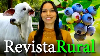 PROGRAMA REVISTA RURAL - 11/06/2023