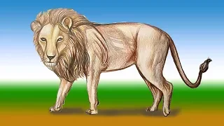 How to Draw a Lion Narrated Step by Step for Beginners Easy