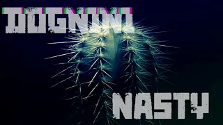 Dognini - Nasty { The Prodigy Cover } (visual)