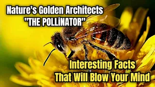 The Pollinator | Nature's Golden Architects | Honeybees | Interesting Facts That Will Blow Your Mind