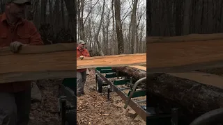 Knotty Pine Log 4 - Looks Good!