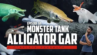 Alligator Gar Malayalam || Monster Tank Series || Episode 04 || nature Co