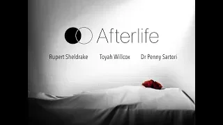 AFTERLIFE: The Documentary - ft Toyah Willcox, Rupert Sheldrake and others - TRAILER