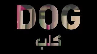 "Dog" Mona Haydar music video