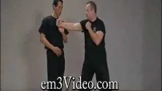 Wing Chun Siu Lim Tao - Samuel Kwok