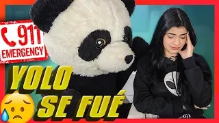 ¡YOLO SE VA DE LA CASA Y LLAMAMOS A LA POLICÍA! - Yolo Aventuras