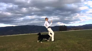 Garp Dogdancing in Japan