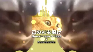 もはや猫ミームだけで曲作れるから