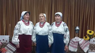 Народний, аматорський, фольклорний колектив " Калина " УНП " Відеречко"