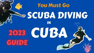You Must Go Scuba Diving in Cuba! 2023 Guide