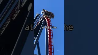 Did the #hurricane affect Busch Gardens Tampa? ⛈️😲🎢