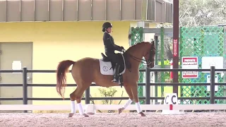 Robert Dover: Developing the Desire to Go Forward in Your Dressage Horse