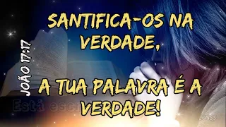 Santidade - (Eliane Fernandes) Com Letra