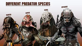 The 8 Predator Subspecies And Hybrids Explained