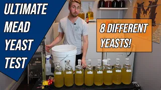 Huge Mead Yeast Test (8 Yeasts) UPDATED VIDEO w/ 20 YEASTS IN DESCRIPTION