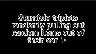 Sturniolo triplets randomly pulling out random items out of their car