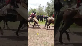 fiesta patronal izonsa /2022 desfile de gauchos