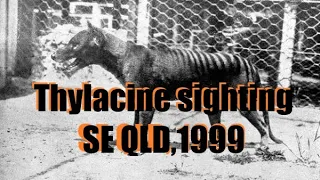 Thylacine sighting, winter 1999, SE QLD with Scott.