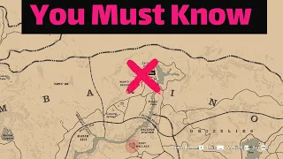 Revealing the secret they are trying to hide from you - RDR2