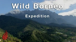 Wild Borneo Expedition