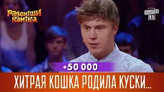 +50 000 - Хитрая кошка родила куски пенопласта