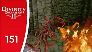 All this possession in me! - Let's Play Divinity: Original Sin 2 #151