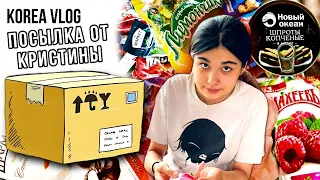 Неожиданная посылка от подписчицы/И…бедная Лиза…/KOREA VLOG