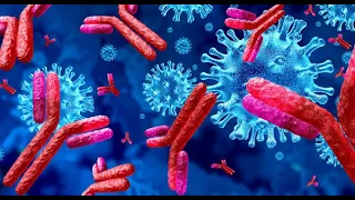 COVID-19 and Antibody tests explained: IgM and IgG antibodies to Coronavirus