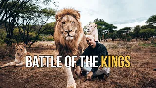 Battle of the Kings - Dean Schneider