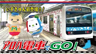 【伊豆急コラボ】いずきゅんとアロハ電車でGO!!