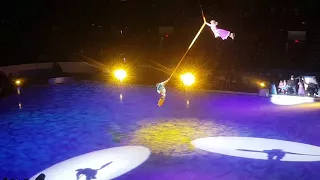 Disney on Ice Follow Your Heart(5)