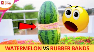 WATERMELON VS RUBBER BANDS | How Many Rubber Bands Will Crush a Watermelon | Instagyan #shorts