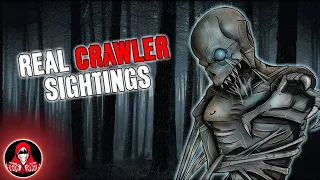 5 REAL Crawler Sightings! - Darkness Prevails