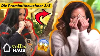 WILDES BATTLE! 😱🕷🐍🦎💩 Gina-Lisa Lohfink vs. Danni Büchner | Volles Haus | Sat.1