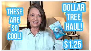 DOLLAR TREE HAUL | COOL NEW FINDS | $1.25 | WOW | THE DT NEVER DISAPPOINTS😁 #haul #dollartree