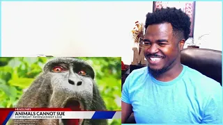 News Bloopers Animal Edition Reaction