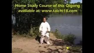 Tai Chi Qigong Shibashi - Set 2