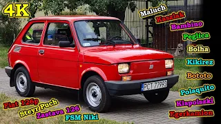 Fiat 126 ELX Kaszlak Bambino 1972 – 2000 Maluch Polski Fiat 126p FSM Niki Steyr Puch, Zastava 126 4K