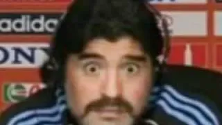 MARADONA CHIPMUNK