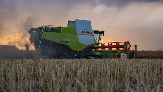 Raps dreschen 2023 | Claas Lexion 750 | Fendt 936 Vario | Fendt 927 Vario