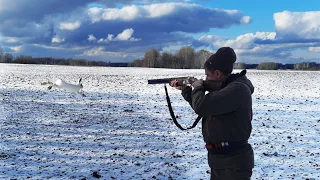 Шикарная Охота на Зайца по первому Снегу. Лежат до последнего. Нужно только найти!!!